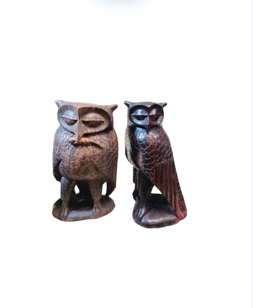 NATURAL TANZANIAN OWL