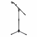 STAND MIC