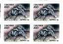 ARACHDINIS
