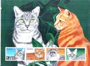 CATS