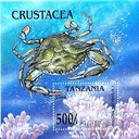 CRUSTACEA-CRABS LOBSTER