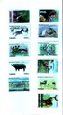 BOOKLET WILD ANIMALS OF TANZANIA