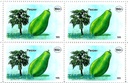 FRUITS OF TANZANIA