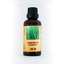 Lemongrass Oil - Zangrass Oil Variant 1