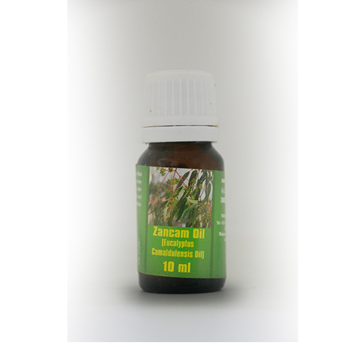 Eucalyptus Camaldulensis - Zancam Oil Variant 2