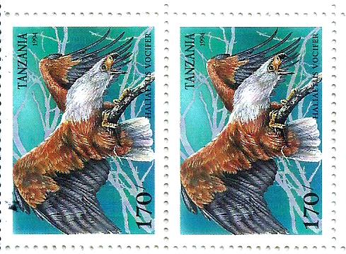 Birds of Prey