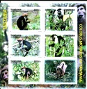 COLOBUS MONKEY OF TANZANIA