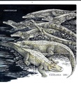 CROCODILE