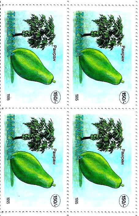 FRUITS OF TANZANIA