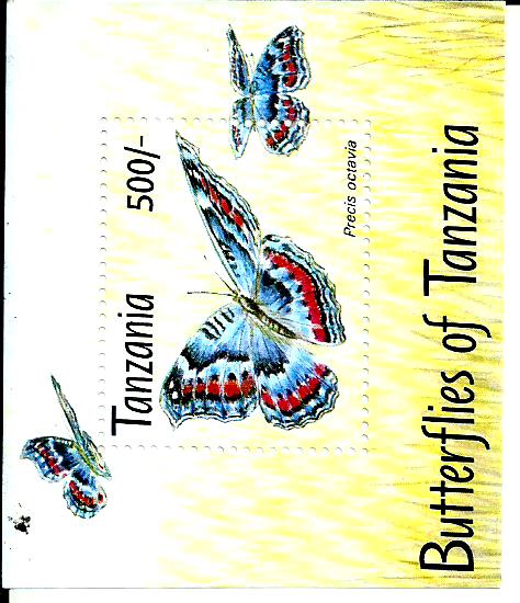 BUTTERFLIES OF TANZANIA