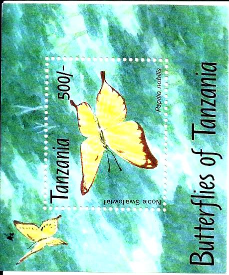 BUTTERFLIES OF TANZANIA