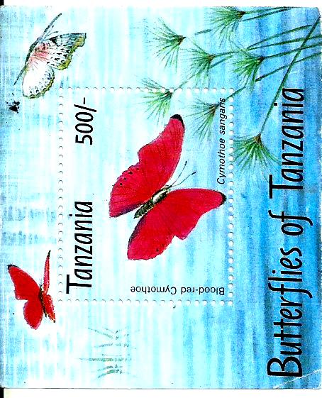 BUTTERFLIES OF TANZANIA (copy)
