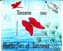 BUTTERFLIES OF TANZANIA (copy)