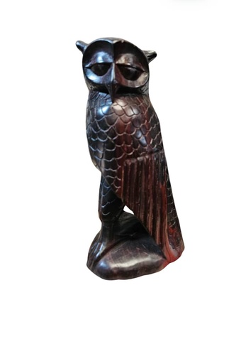 TANZANIA OWL BIRD