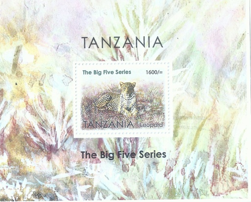 The Big Five Series