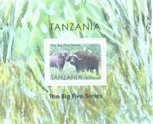 The Big Five Series Variant 5