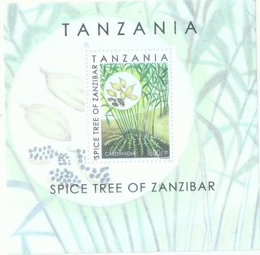 Spice Tree of Zanzibar Variant 2