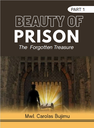 The Beauty of Prison The forgotten treasures (english part 1)