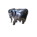 Big Five member