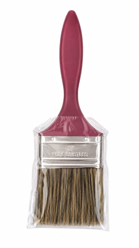 3 inch Paint brush