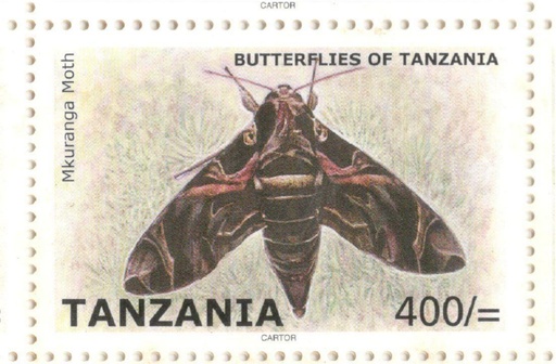 Butterflies Of Tanzania