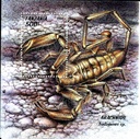 ARACHNIDS