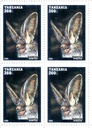 BATS