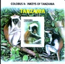COLOBUS MONKEY OF TANZANIA