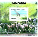 WILD ANIMALS OF TANZANIA